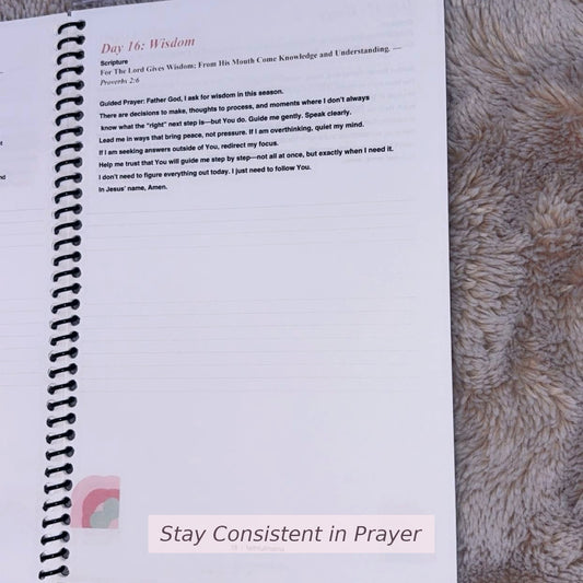 30-Day Womb Prayer Journal | Christian Fertility Prayer Journal (Physical Copy)